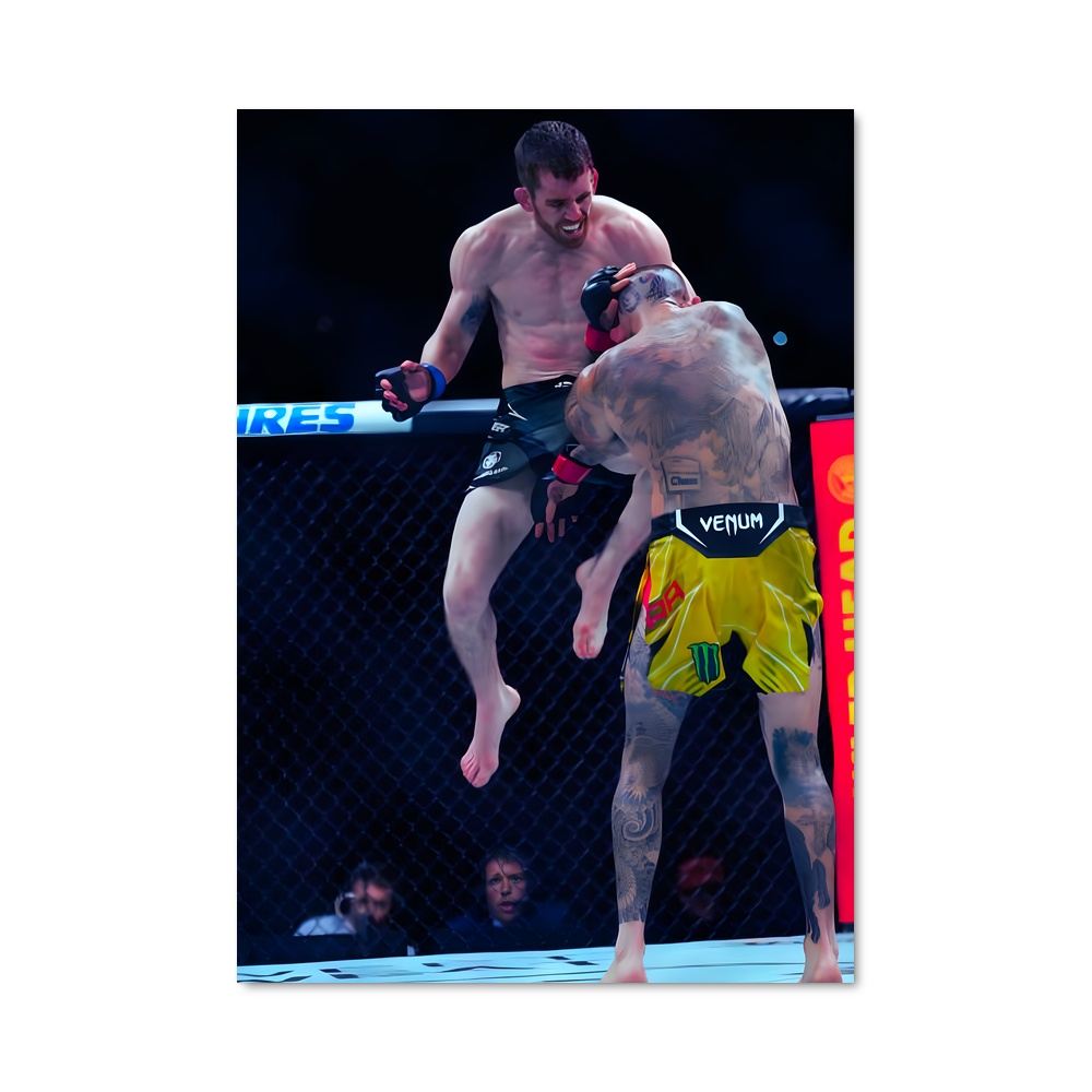 Poster Combat d'Artistes – affiche MMA